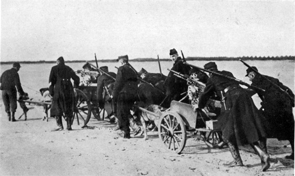 Belgian machine gunners transporting their weapons on carts pulled by dogs