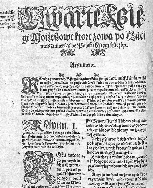 The Brzesc Bible