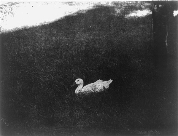 "The simple life" by  Gertrude Käsebier