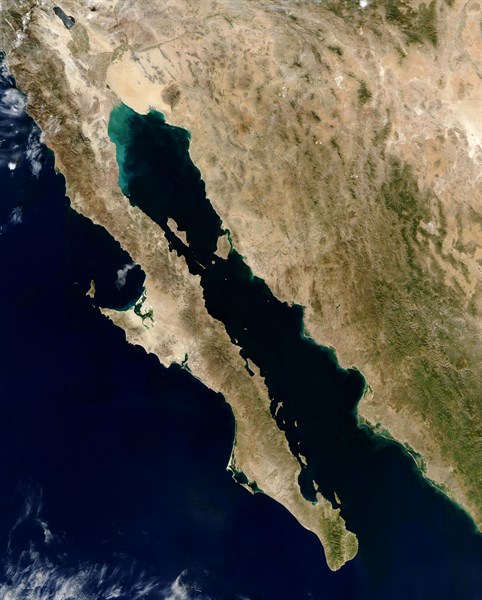 Gulf of California