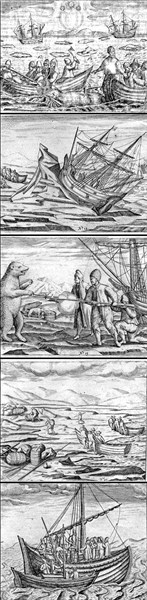 Plates of Willem Barents 3rd voyage