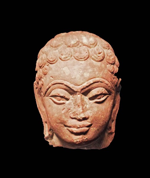 Head of Jina