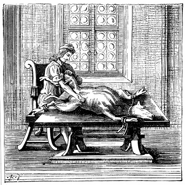 Animal-to-man blood transfusion