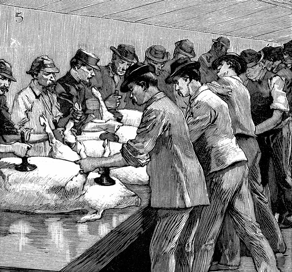 Armour Company's pig slaughterhouse, Chicago