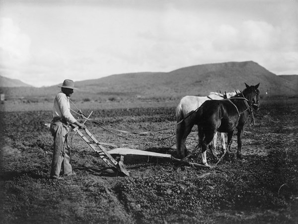 Sacaton Indian Reservation