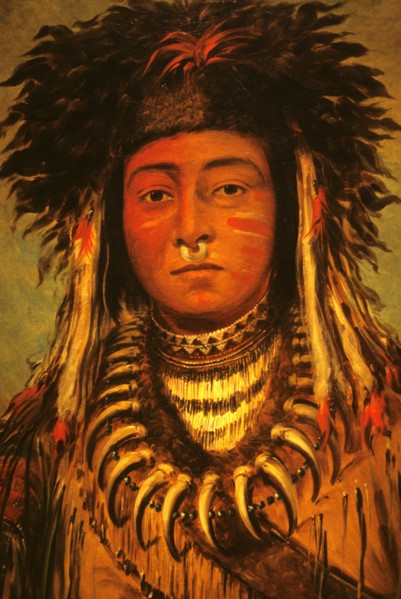 George Catlin, 'Boy Chief'
