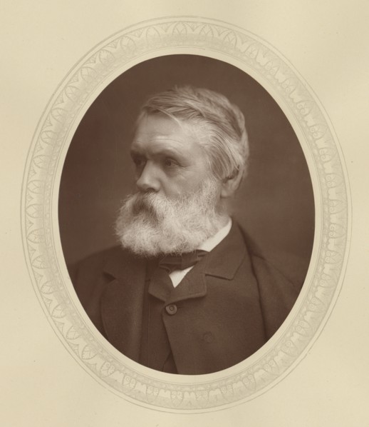 Tom Taylor