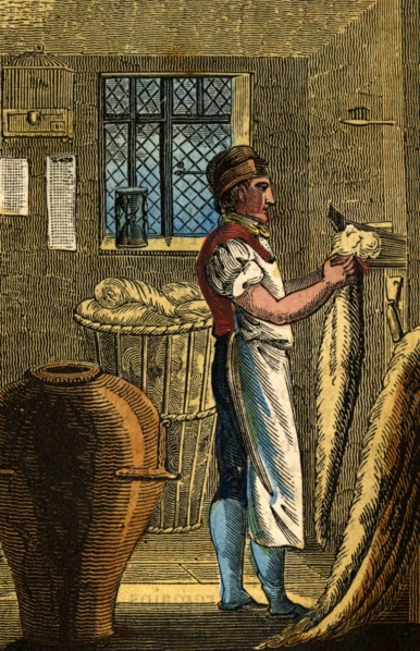The Woolcomber