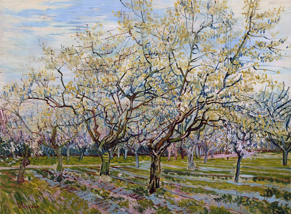 Van Gogh, The White Orchard