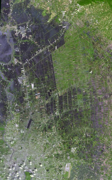 The flooding from the Chao Phraya River