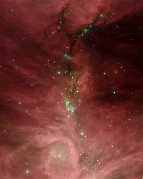 The Orion nebula