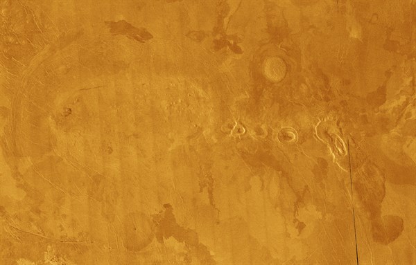 Volcanic features on Venus