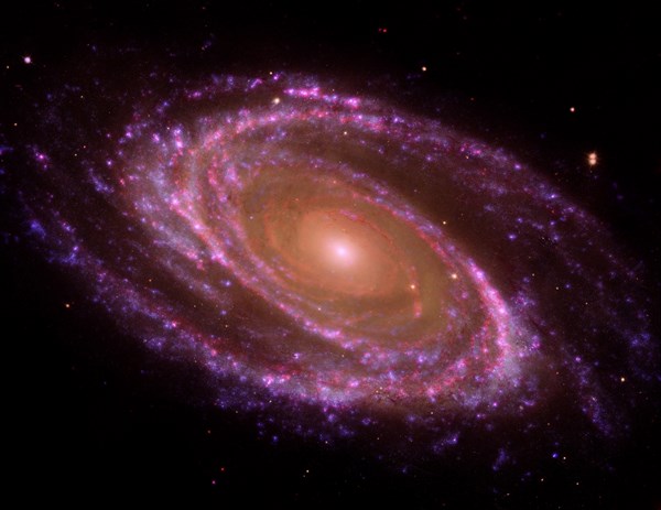 The spiral galaxy known as Messier 81