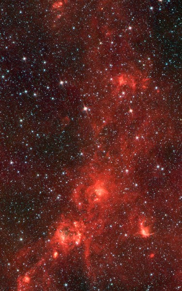 Nebula nicknamed 'the Dragonfish