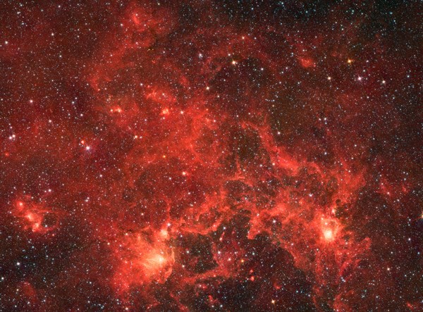 The nebula nicknamed 'the Dragonfish.' This turbulent region, jam-packed with stars, is home to