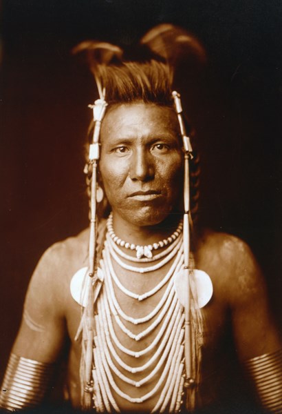 Photographic print of Ben Long Ear