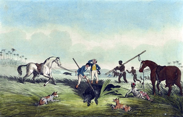 The dead hog by Samuel Howitt, 1765?-1822, artist