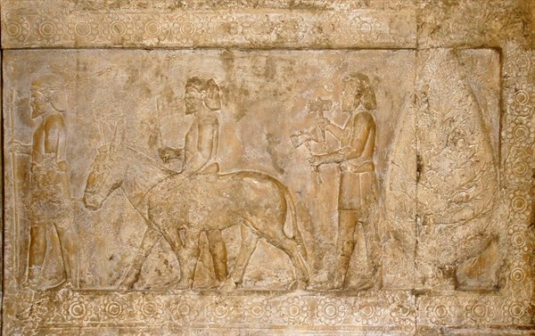 Reliefs from the Palace of Persepolis