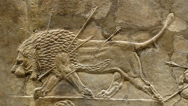 Relief depicting The royal lion hunt. Assyrian, about 645-635 BC From Nineveh