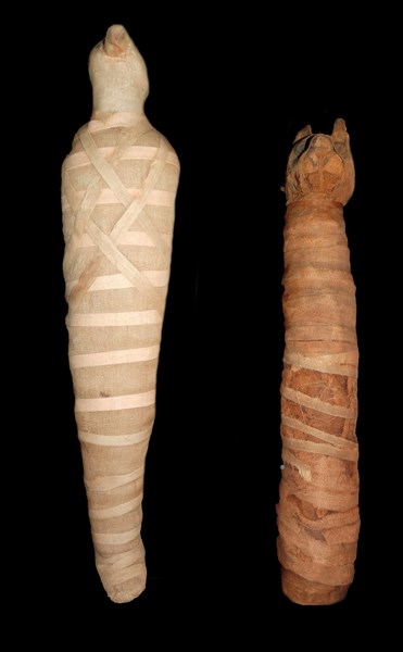 Animal mummy from Egypt