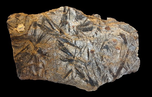 Amphibolite rock