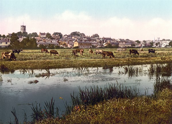 Banks of the River Frome