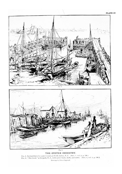 Drawings by Ernest Ingersoll