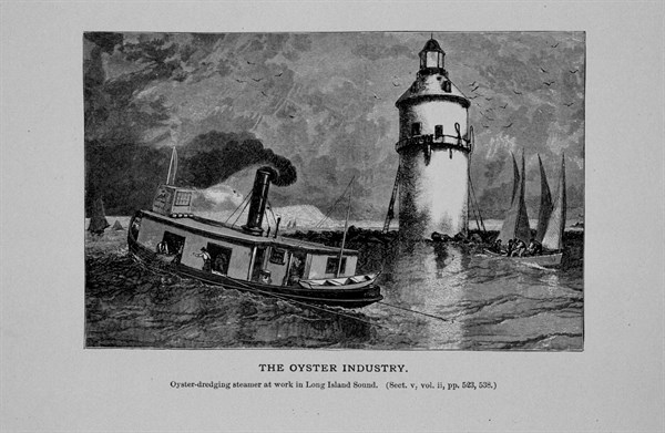 Oyster dredging steamer at work in Long Island Sound