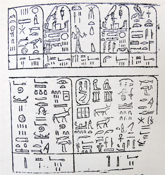 Engraving taken from the Palermo Stone