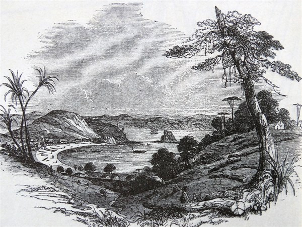 Scene of the Maori trouble
