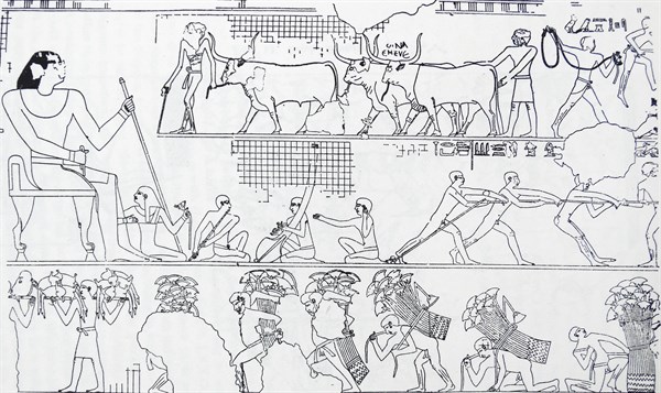 Freize depicting cattle