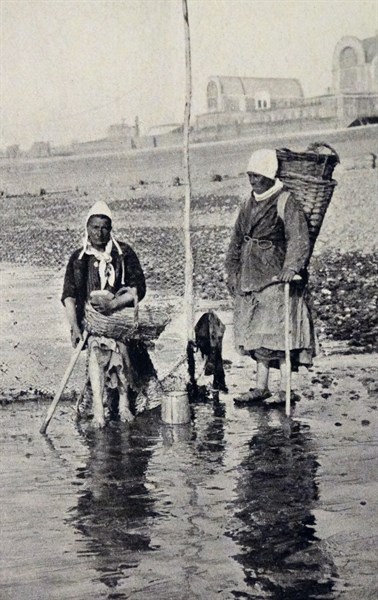 mussel gatherers off the coast of Normandy