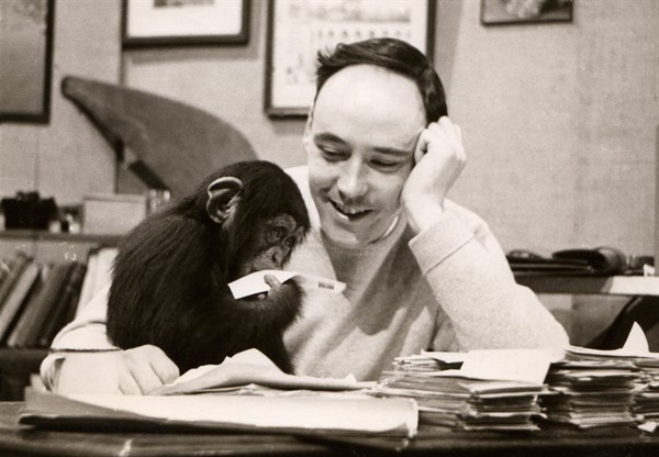 Desmond Morris