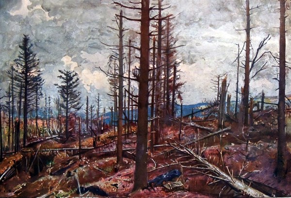 The trees destroyed around Metzeral at la vallee de la fecht.