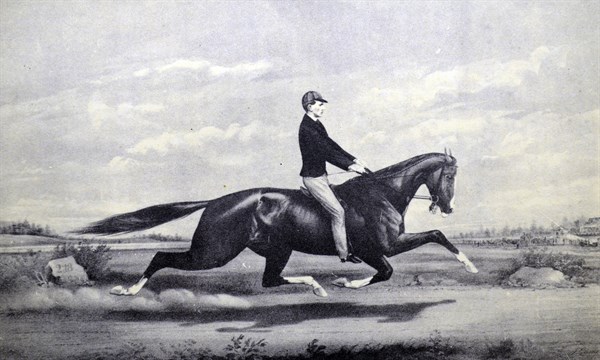 Currier & Ives Illustration. Celebrated horse Dexter 'The king of the Turf'