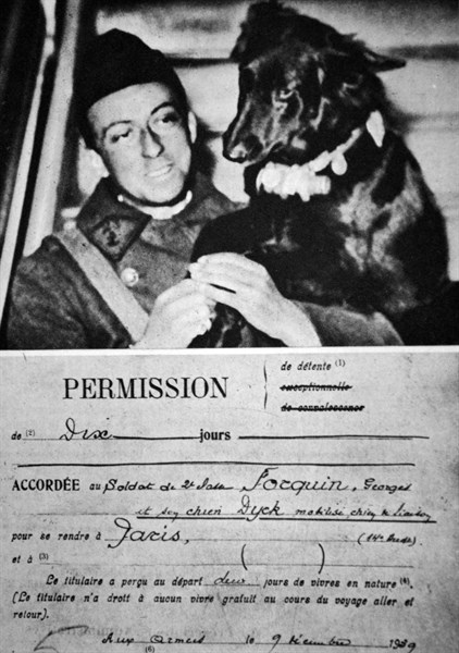 WWII: French army messenger dog at a front line position 1940