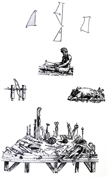 Plates from the Second Book of the De Humani Corporis Fabrica by Vesalius