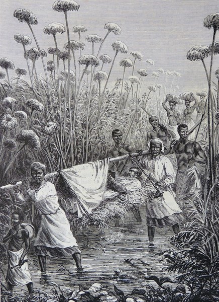 Engraivng of David Livingstone