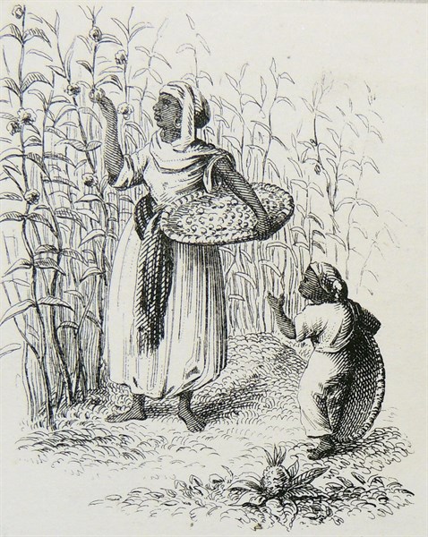 Gathering Coffee