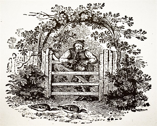 Countryman Smoking a Churchwarden