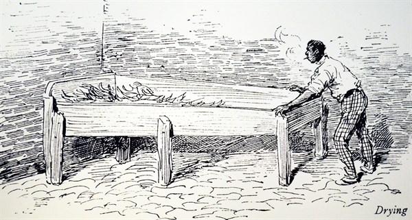 Machado's cigar factory