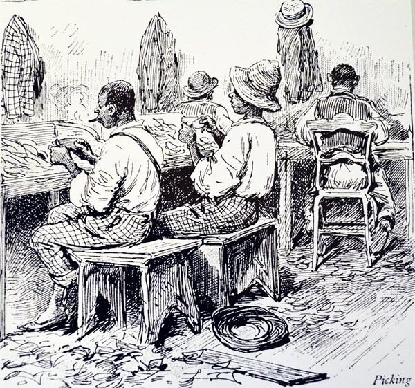 Machado's cigar factory