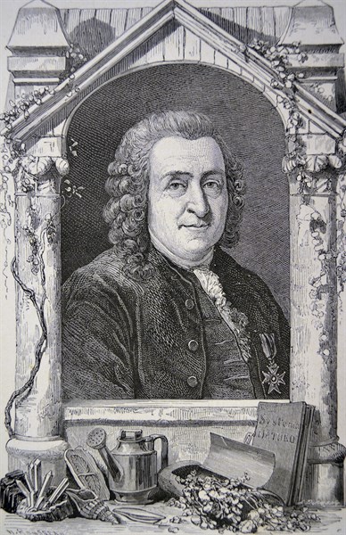 Carl von Linne