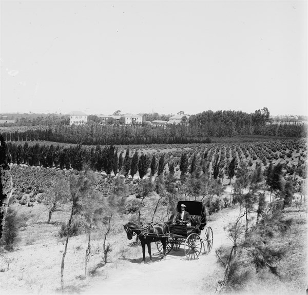 Jewish colony in Palestine