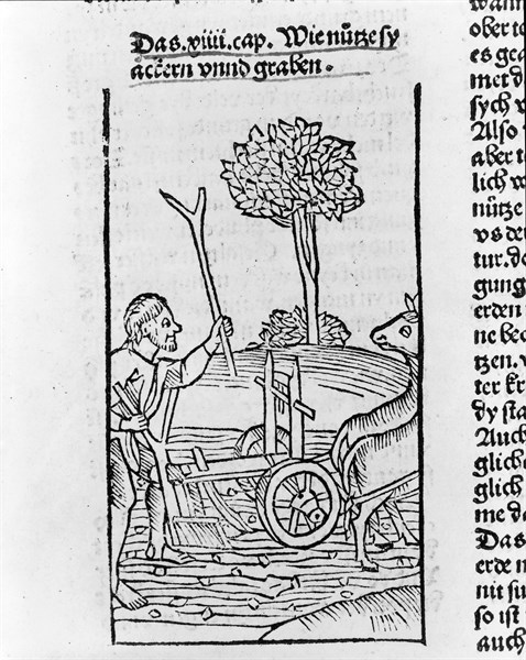 Farmer ploughing a field
