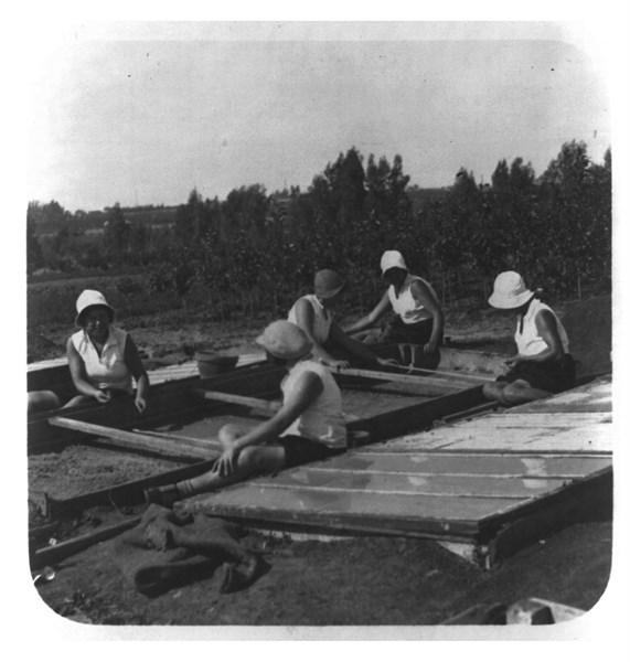 Jewish girls working among glass frames