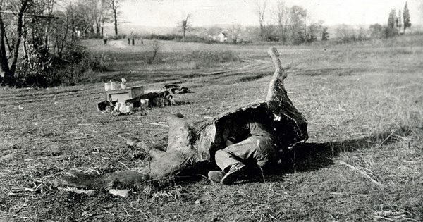 Photograph of a Soldier Demonstration Camouflage