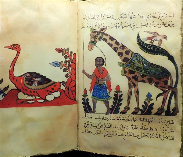 Advances in zoology, botany, astronomy and navigation