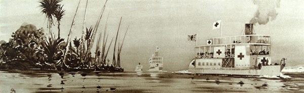 Thomas Cook cruise ships converted to use as hospital ships