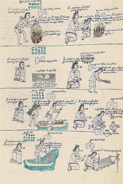 The Codex Mendoza Aztec codex; 1553